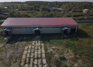 Продам складское помещение, 1150 м2, Владимирская область, деревня Васильевка, 1Б