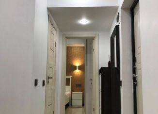 Продажа 1-ком. квартиры, 30 м2, Сочи, Вишнёвая улица, 38/6, микрорайон Макаренко