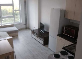 Сдается квартира студия, 24 м2, Мурино, улица Шоссе в Лаврики, ЖК Муринское-1