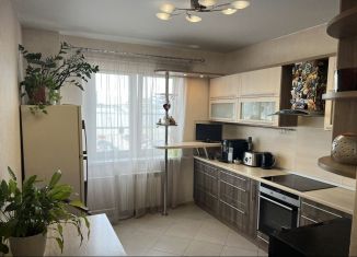 Продам двухкомнатную квартиру, 63 м2, Санкт-Петербург, Глухарская улица, 33к1, ЖК Каменка