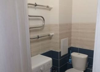 Сдается в аренду квартира студия, 25 м2, Мурино, улица Шувалова, 22к2, ЖК Витамин