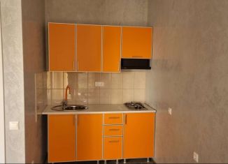 Сдаю в аренду квартиру студию, 14 м2, село Весёлое, Пограничная улица, 7