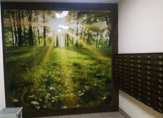 Двухкомнатная квартира на продажу, 54 м2, Мурино, улица Шувалова, 11, ЖК Гринландия