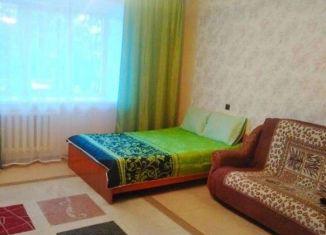 Сдается 1-комнатная квартира, 39 м2, Новосибирск, улица Петухова, 156, ЖК Тулинка