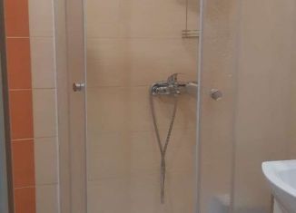 Сдам квартиру студию, 28 м2, Мурино, Скандинавский проезд, 4к1, ЖК Эланд