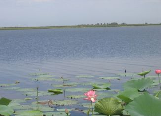 Продаю земельный участок, 566 сот., село Полдневое