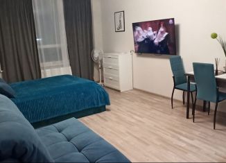 Сдам в аренду квартиру студию, 29 м2, Сочи, Ломоносовская улица, 2Б, микрорайон Яна Фабрициуса