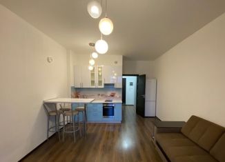 Сдается в аренду квартира студия, 27 м2, Санкт-Петербург, проспект Ветеранов, 171к4