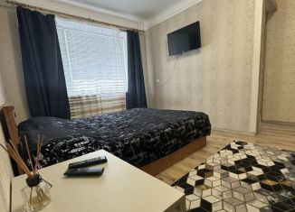 1-комнатная квартира в аренду, 35 м2, Белгород, проспект Славы, Восточный округ