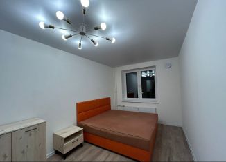 Аренда 1-комнатной квартиры, 38 м2, Колпино, Балканская дорога, 14к2