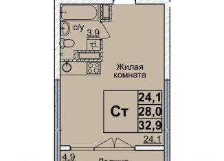 Продам квартиру студию, 32 м2, Нижний Новгород, метро Горьковская