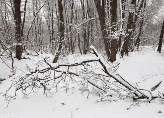 Продажа земельного участка, 15 сот., деревня Шульгино