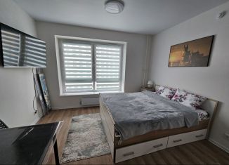 Сдается в аренду квартира студия, 21.5 м2, Люберцы, улица Лётчика Ларюшина, 6, ЖК Жулебино Парк