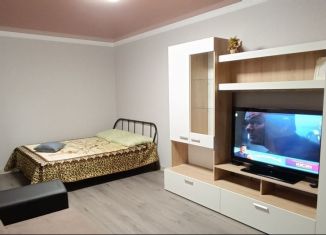 Сдается 1-комнатная квартира, 40 м2, Краснодарский край, улица Адмирала Пустошкина, 22к3