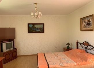 Сдается 1-ком. квартира, 40 м2, Тольятти, улица Мира, Центральный район