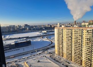 Продам квартиру студию, 25 м2, Мурино, улица Шувалова, 4к1, ЖК Мой Город