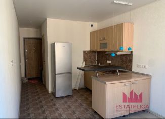 Продаю квартиру студию, 21 м2, рабочий посёлок Лопатино, Сухановская улица, 13, ЖК Государев Дом