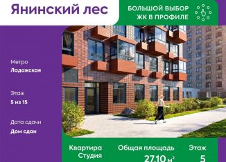 Продам квартиру студию, 27 м2, городской посёлок Янино-1, Голландская улица, 12к2, ЖК Новое Янино