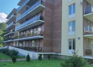 Продам 1-комнатную квартиру, 56 м2, поселение Клёновское, база отдыха Витро Вилладж, к5