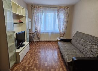 1-комнатная квартира в аренду, 32 м2, Санкт-Петербург, проспект Кузнецова, 10к1, ЖК Южный