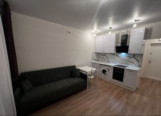 Сдам в аренду квартиру студию, 23.3 м2, Люберцы, улица Лётчика Ларюшина, 6к2, ЖК Жулебино Парк