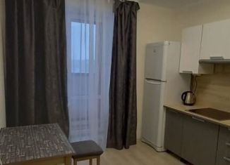 Сдается 1-комнатная квартира, 30 м2, поселок Бугры, Тихая улица, 13к3