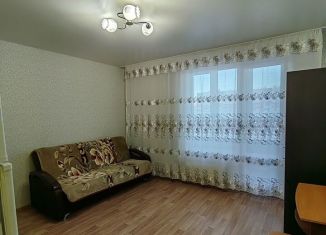 Сдается квартира студия, 24 м2, Барнаул, улица Солнечная Поляна, 94к4, Индустриальный район