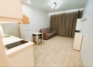 Сдается квартира студия, 30 м2, Тверь, улица Склизкова, 116к6