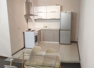 Сдается в аренду 2-ком. квартира, 72 м2, Екатеринбург, улица Шейнкмана, 75