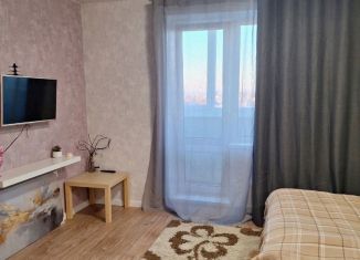 Квартира в аренду студия, 30 м2, село Фролы, Весенняя улица, 28