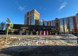 Продам помещение свободного назначения, 24.8 м2, Мурино