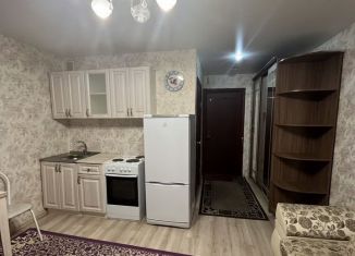 Сдаю в аренду квартиру студию, 20.3 м2, Бердск, Кристальная улица, 3