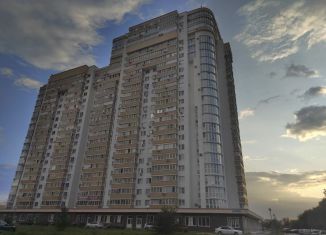 Продается машиноместо, 21 м2, Тольятти, Московский проспект, 62