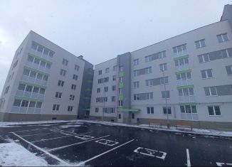 Продажа 1-комнатной квартиры, 35.7 м2, Бор, Молодёжная улица, 4А