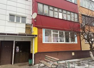 Продам 1-комнатную квартиру, 33 м2, Белгородская область, Центральная улица, 10