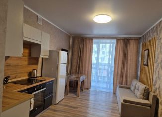 Сдаю 1-комнатную квартиру, 28 м2, Республика Башкортостан, улица Рашита Кудашева, 3