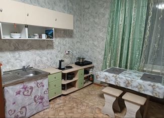 Сдается в аренду дом, 20 м2, Республика Алтай, Набережная улица, 12