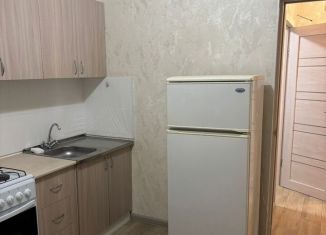 Сдам 1-ком. квартиру, 30 м2, Михайловск, улица Ишкова, 99