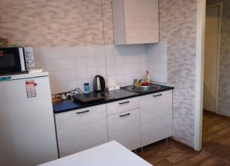 Сдаю 1-ком. квартиру, 40 м2, Екатеринбург, улица Черепанова, 6, Верх-Исетский район