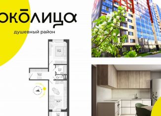 2-ком. квартира на продажу, 49.1 м2, посёлок Садовый, микрорайон Околица, 13С