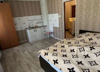 Сдача в аренду 4-ком. квартиры, 115 м2, Чувашия, улица Пушкина, 11