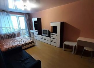 Аренда двухкомнатной квартиры, 47 м2, Новосибирск, улица Челюскинцев, 6