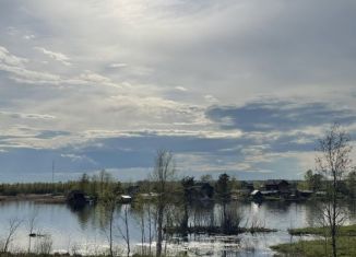 Продается дом, 48 м2, деревня Мережнаволок