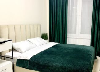 Сдаю однокомнатную квартиру, 37 м2, деревня Раздоры, улица Липовой Рощи, 4к3