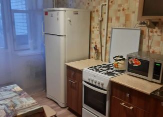 Сдам 1-ком. квартиру, 30 м2, Нижегородская область, улица Пермякова, 28