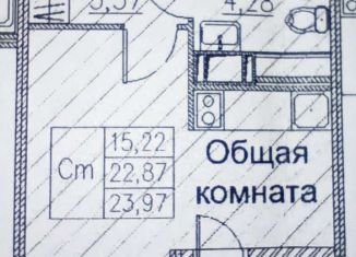 Сдается в аренду квартира студия, 25 м2, поселок Бугры, улица Шекспира, 1, ЖК Энфилд