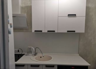 Продаю однокомнатную квартиру, 27 м2, село Орёл-Изумруд, улица Лазурная Долина