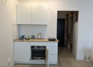 Сдается в аренду квартира студия, 27.5 м2, Мурино, Охтинская аллея, 16, ЖК Мой Город