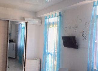 Сдается квартира студия, 20 м2, Сочи, улица Верхняя Лысая Гора, 10/10, микрорайон Светлана