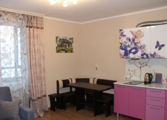 Сдача в аренду квартиры студии, 26 м2, Мурино, Екатерининская улица, 2, ЖК Виктория